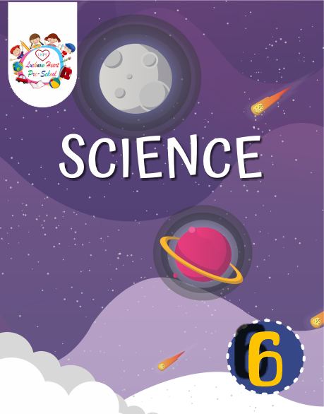 Science-6.png Science - VI - Image 1